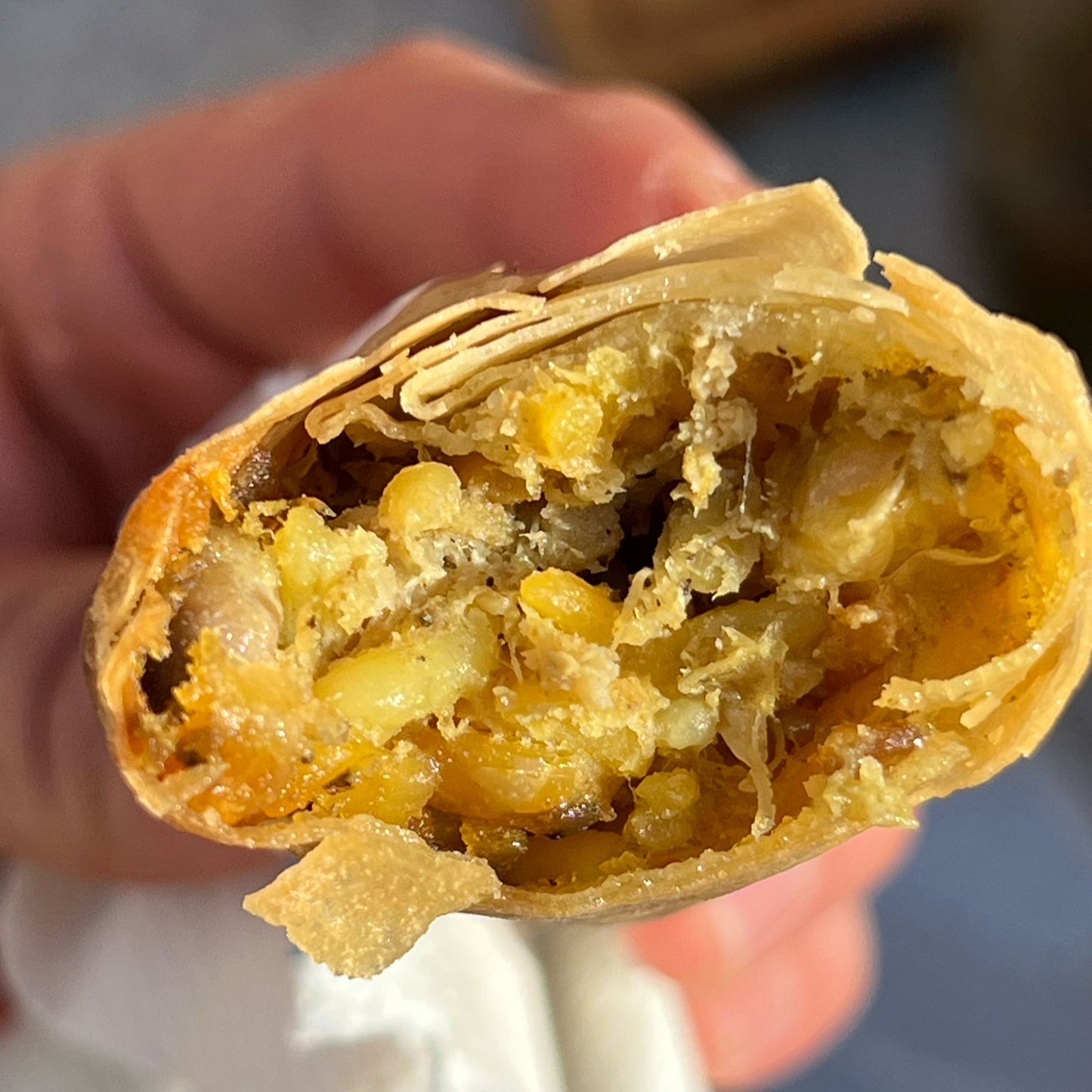 SPRING ROLLS DE LECHONA